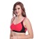 new blue eyes Women's Cotton Compression Reguler Bra